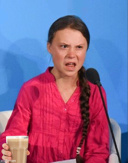 Greta Thunberg how dare you | image tagged in greta thunberg how dare you | made w/ Imgflip meme maker