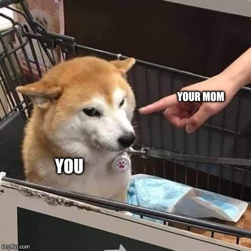 No horny | YOUR MOM YOU | image tagged in no horny | made w/ Imgflip meme maker