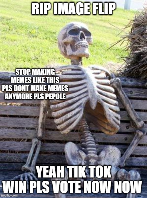 Waiting Skeleton Meme | RIP IMAGE FLIP; STOP MAKING MEMES LIKE THIS PLS DONT MAKE MEMES ANYMORE PLS PEPOLE; YEAH TIK TOK WIN PLS VOTE NOW NOW | image tagged in memes,waiting skeleton | made w/ Imgflip meme maker