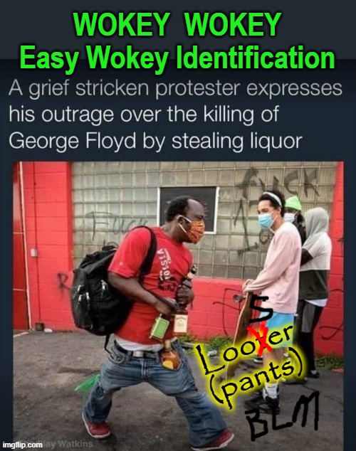 WOKEY  WOKEY | WOKEY  WOKEY
Easy Wokey Identification; Looter
(pants) | image tagged in looters | made w/ Imgflip meme maker