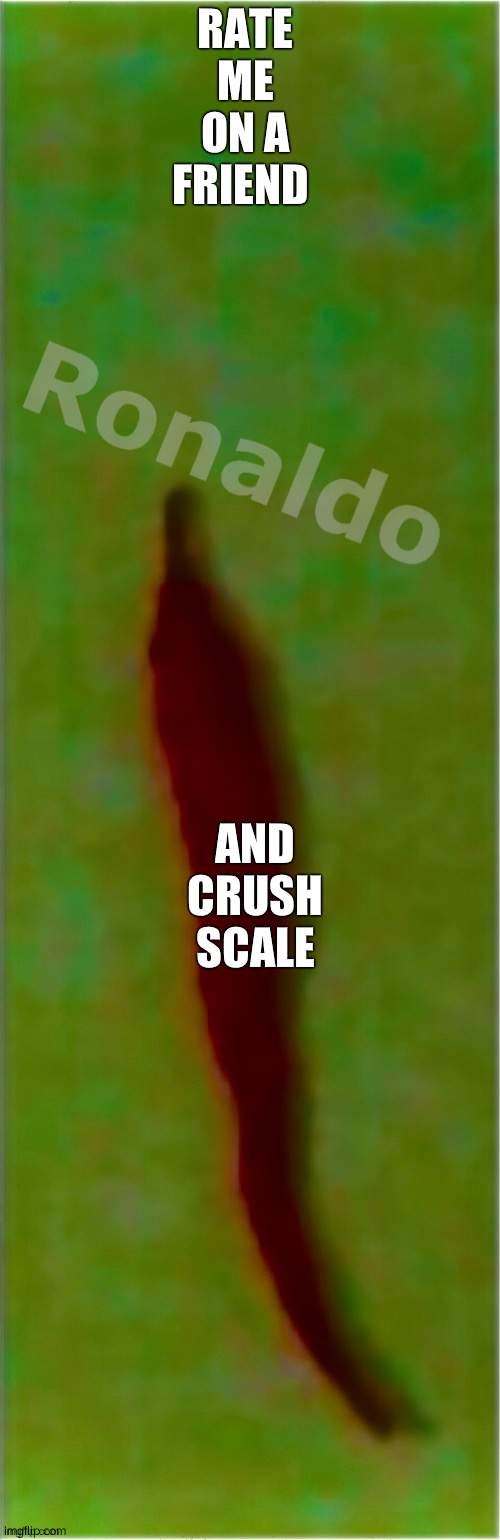 reee | RATE ME ON A FRIEND; AND CRUSH SCALE | image tagged in r n ld | made w/ Imgflip meme maker