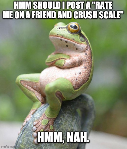 nah frog | HMM SHOULD I POST A "RATE ME ON A FRIEND AND CRUSH SCALE"; HMM, NAH. | image tagged in nah frog | made w/ Imgflip meme maker