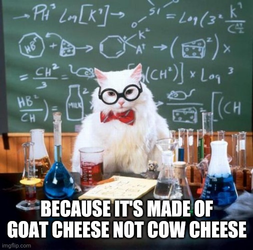 Chemistry Cat Meme | BECAUSE IT'S MADE OF GOAT CHEESE NOT COW CHEESE | image tagged in memes,chemistry cat | made w/ Imgflip meme maker