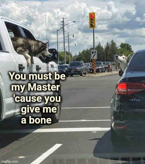Doggie pick-up lines | You must be
    my Master; 'cause you
      give me
      a bone | image tagged in bone,joke,funny dogs,well yes but actually no | made w/ Imgflip meme maker