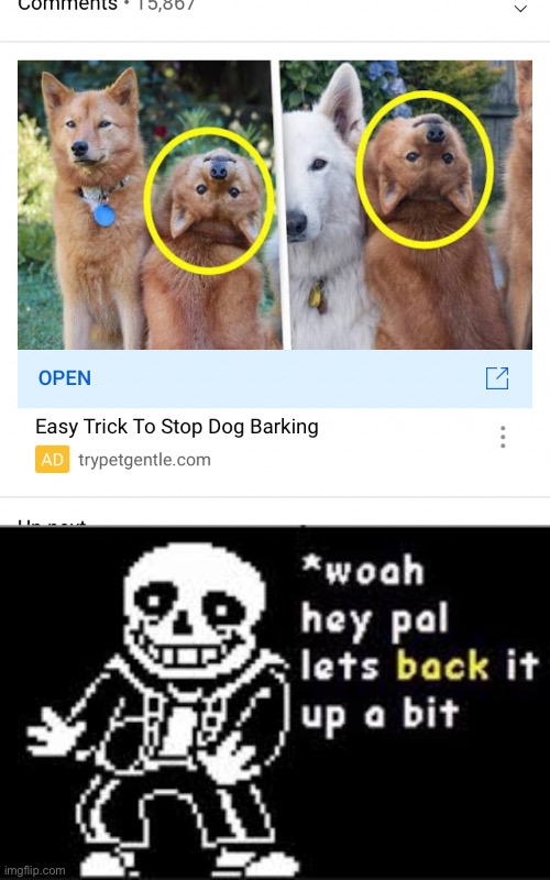 Wait WHAT | image tagged in woah hey pal lets back it up a bit | made w/ Imgflip meme maker
