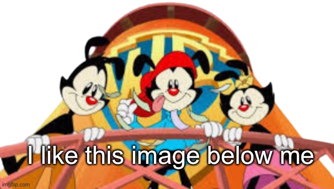 Animaniacs looking down | I like this image below me | image tagged in animaniacs looking down | made w/ Imgflip meme maker