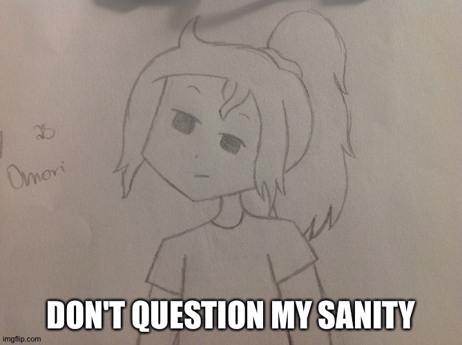 DON'T QUESTION MY SANITY | made w/ Imgflip meme maker
