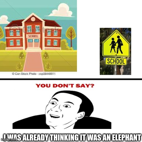 I WAS ALREADY THINKING IT WAS AN ELEPHANT | image tagged in funny | made w/ Imgflip meme maker