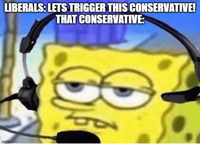We are not triggered easily | LIBERALS: LETS TRIGGER THIS CONSERVATIVE!
THAT CONSERVATIVE: | image tagged in spongebob with headphones | made w/ Imgflip meme maker