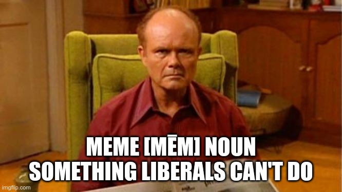 Red Forman Dumbass | MEME [MĒM] NOUN
SOMETHING LIBERALS CAN'T DO | image tagged in red forman dumbass | made w/ Imgflip meme maker