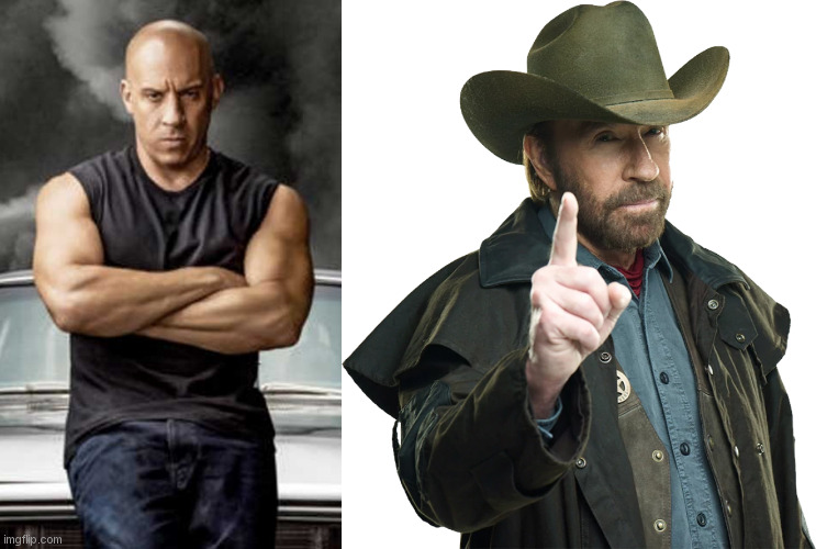 vin diesel end chuck norris | image tagged in vin diesel mau | made w/ Imgflip meme maker