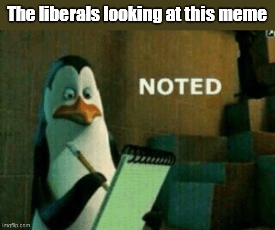 Noted | The liberals looking at this meme | image tagged in noted | made w/ Imgflip meme maker