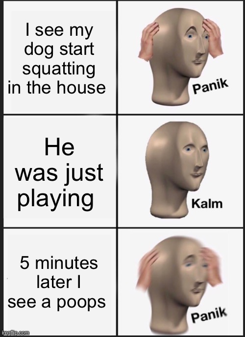 Panik Kalm Panik Meme | I see my dog start squatting in the house; He was just playing; 5 minutes later I see a poops | image tagged in memes,panik kalm panik | made w/ Imgflip meme maker