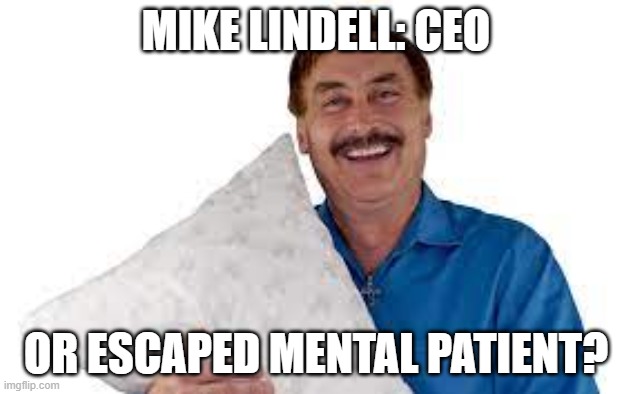 Things that make you go hmmmm | MIKE LINDELL: CEO; OR ESCAPED MENTAL PATIENT? | image tagged in my pillow,nuts | made w/ Imgflip meme maker