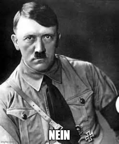 Adolf Hitler | NEIN | image tagged in adolf hitler | made w/ Imgflip meme maker