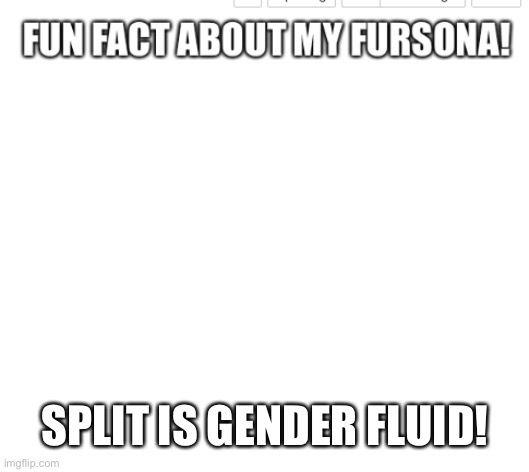 Yeah, so there name isn’t obviously hinting to a gender | SPLIT IS GENDER FLUID! | image tagged in fun fact about my fursona | made w/ Imgflip meme maker