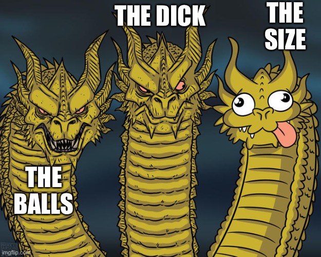 Three-headed Dragon | THE SIZE; THE DICK; THE BALLS | image tagged in three-headed dragon | made w/ Imgflip meme maker