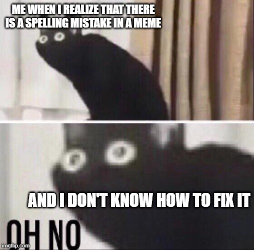 What should I do?!?! | ME WHEN I REALIZE THAT THERE IS A SPELLING MISTAKE IN A MEME; AND I DON'T KNOW HOW TO FIX IT | image tagged in oh no cat | made w/ Imgflip meme maker