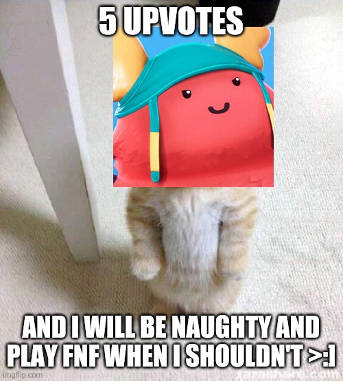 Dont do it or else im ded | 5 UPVOTES; AND I WILL BE NAUGHTY AND PLAY FNF WHEN I SHOULDN'T >:] | image tagged in memes,cute cat | made w/ Imgflip meme maker