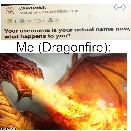 R/AskReddit | Me (Dragonfire): | image tagged in usernames | made w/ Imgflip meme maker