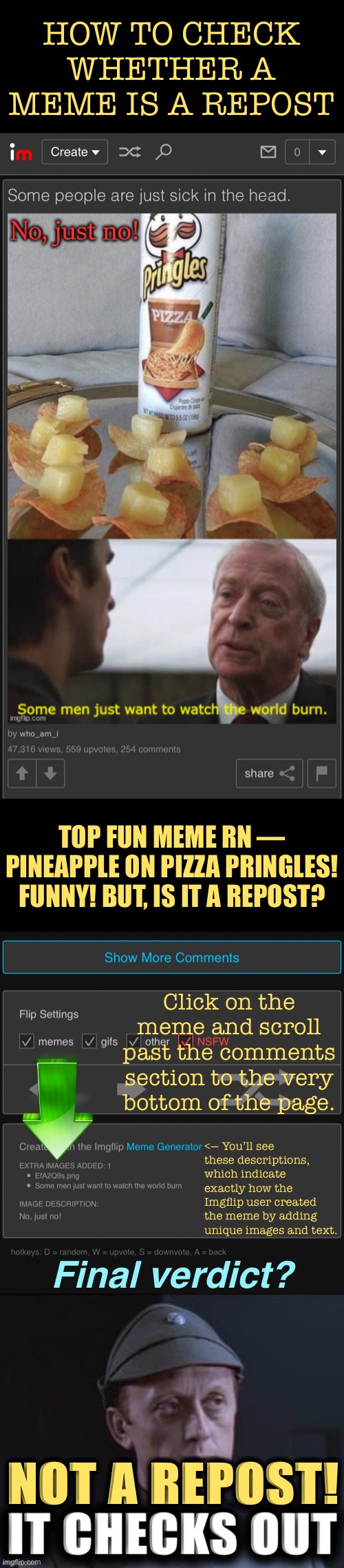 Definitions of a “repost” vary, but this will tell you whether an Imgflipper added something unique or merely copy-pasted. | HOW TO CHECK WHETHER A MEME IS A REPOST; TOP FUN MEME RN — PINEAPPLE ON PIZZA PRINGLES! FUNNY! BUT, IS IT A REPOST? Click on the meme and scroll past the comments section to the very bottom of the page. <— You’ll see these descriptions, which indicate exactly how the Imgflip user created the meme by adding unique images and text. Final verdict? NOT A REPOST! | image tagged in it checks out,reposts,memes about memes,memes about memeing,reposts are lame,reposts are awesome | made w/ Imgflip meme maker