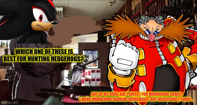 Shadow goes postal | WHICH ONE OF THESE IS BEST FOR HUNTING HEDGEHOGS? ANY OF MY GUNS ARE PERFECT FOR MURDERING SONIC! I MEAN MURDERING RANDOM HEDGEHOGS. NOT NECESSARILY SONIC... | image tagged in shadow the hedgehog,gunshop,terminator,dr eggman,sonic the hedgehog | made w/ Imgflip meme maker