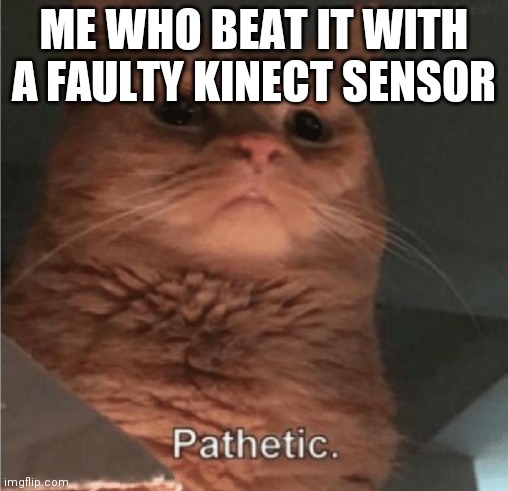 Pathetic Cat | ME WHO BEAT IT WITH A FAULTY KINECT SENSOR | image tagged in pathetic cat | made w/ Imgflip meme maker