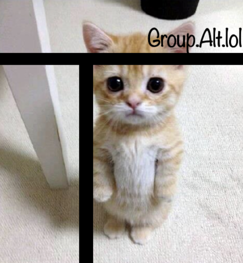 High Quality GPl template Blank Meme Template