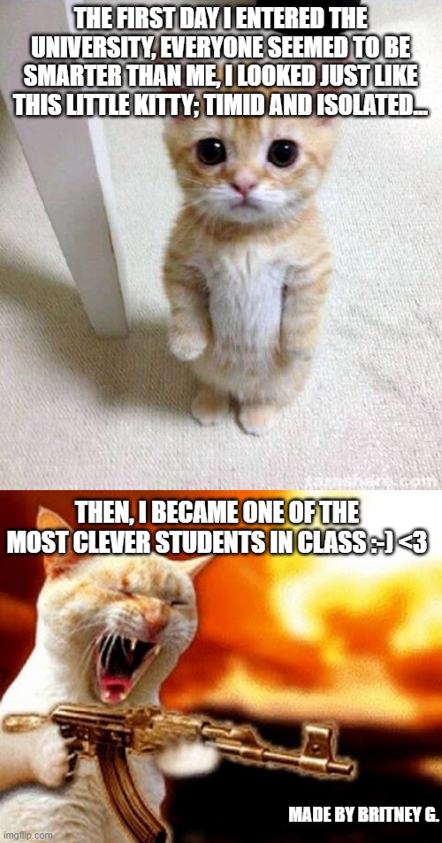 The first day of college |  THE FIRST DAY I ENTERED THE UNIVERSITY, EVERYONE SEEMED TO BE SMARTER THAN ME, I LOOKED JUST LIKE THIS LITTLE KITTY; TIMID AND ISOLATED... THEN, I BECAME ONE OF THE MOST CLEVER STUDENTS IN CLASS :-) <3; MADE BY BRITNEY G. | image tagged in memes,cute cat,machine gun cat | made w/ Imgflip meme maker