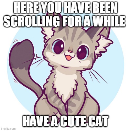 you have been scrolling | HERE YOU HAVE BEEN SCROLLING FOR A WHILE; HAVE A CUTE CAT | image tagged in cute cat | made w/ Imgflip meme maker