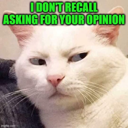 No Gratuitous Comments, Please | I DON'T RECALL ASKING FOR YOUR OPINION | image tagged in annoyed cat,opinion | made w/ Imgflip meme maker