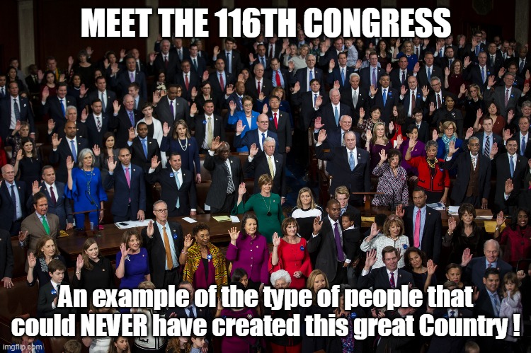 116th LOSERS | MEET THE 116TH CONGRESS; An example of the type of people that could NEVER have created this great Country ! | image tagged in memes | made w/ Imgflip meme maker