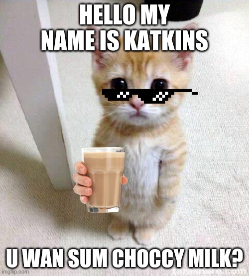 Cute Cat Meme | HELLO MY NAME IS KATKINS; U WAN SUM CHOCCY MILK? | image tagged in memes,cute cat | made w/ Imgflip meme maker