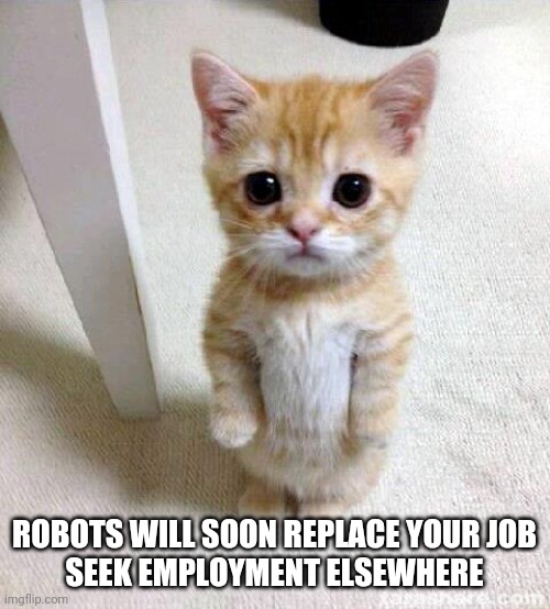 I don't feel bad for you | ROBOTS WILL SOON REPLACE YOUR JOB
SEEK EMPLOYMENT ELSEWHERE | image tagged in memes,cute cat,job,job interview,fast food,pizza hut | made w/ Imgflip meme maker