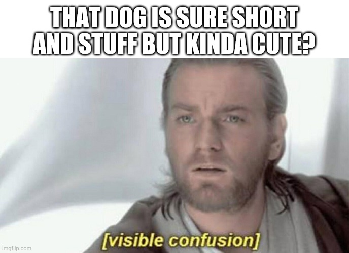 visible confusion | THAT DOG IS SURE SHORT AND STUFF BUT KINDA CUTE? | image tagged in visible confusion | made w/ Imgflip meme maker