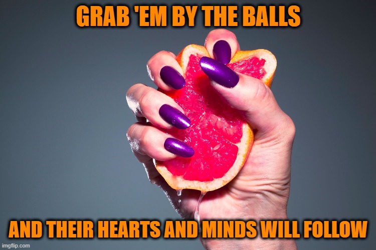 Make Sure Your Message Gets Through | GRAB 'EM BY THE BALLS; AND THEIR HEARTS AND MINDS WILL FOLLOW | image tagged in management,message | made w/ Imgflip meme maker
