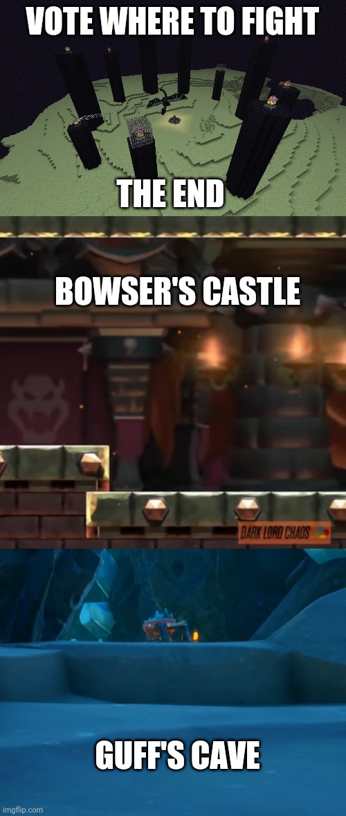 Vote if ure playing hunger games or not | VOTE WHERE TO FIGHT; THE END; BOWSER'S CASTLE; GUFF'S CAVE | image tagged in vote,hunger games | made w/ Imgflip meme maker