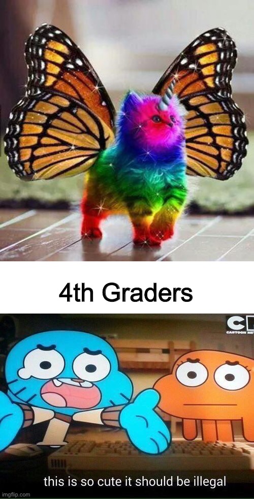 4th Graders | image tagged in rainbow unicorn butterfly kitten,this is so cute it should be illegal | made w/ Imgflip meme maker