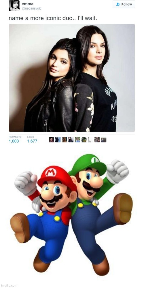 Mario and Luigi | image tagged in name a more iconic duo | made w/ Imgflip meme maker