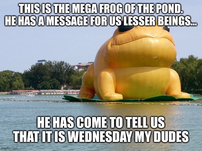  THIS IS THE MEGA FROG OF THE POND. HE HAS A MESSAGE FOR US LESSER BEINGS…; HE HAS COME TO TELL US THAT IT IS WEDNESDAY MY DUDES | image tagged in wednesday,frog,funny,random,memes | made w/ Imgflip meme maker