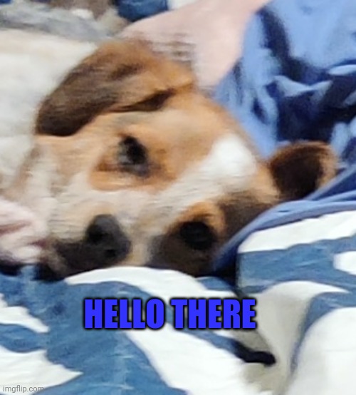 HELLO THERE | made w/ Imgflip meme maker