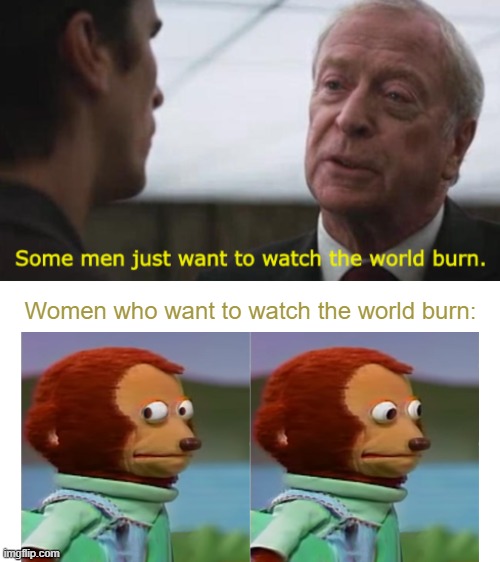 Wait why only men | Women who want to watch the world burn: | image tagged in some men just want to watch the world burn | made w/ Imgflip meme maker
