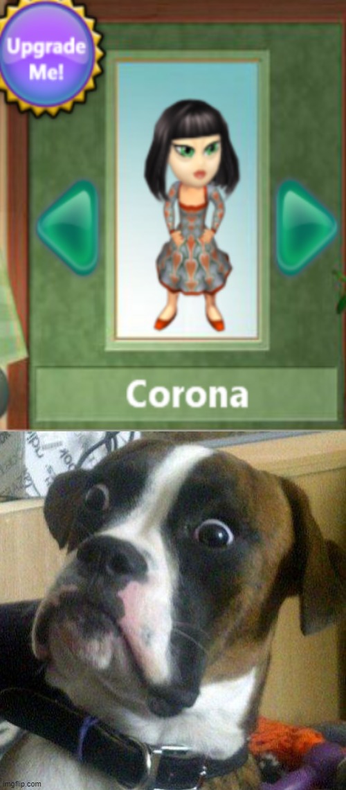Of all the POSSIBLE random combinations in Virtual Families 2... | image tagged in blankie the shocked dog | made w/ Imgflip meme maker