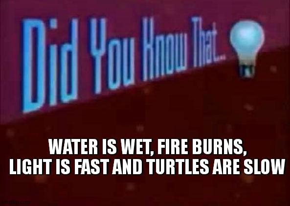 I am genius because yes | WATER IS WET, FIRE BURNS, LIGHT IS FAST AND TURTLES ARE SLOW | image tagged in did you know that,memes,funny | made w/ Imgflip meme maker