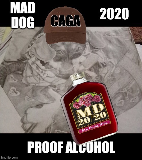 MAD DOG AT 2020 | image tagged in md2020,mad,maddog | made w/ Imgflip meme maker