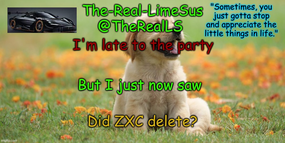 I wasn't on properly for the past few months | I'm late to the party; But I just now saw; Did ZXC delete? | image tagged in limesus doggo announcement temp v1 4 | made w/ Imgflip meme maker
