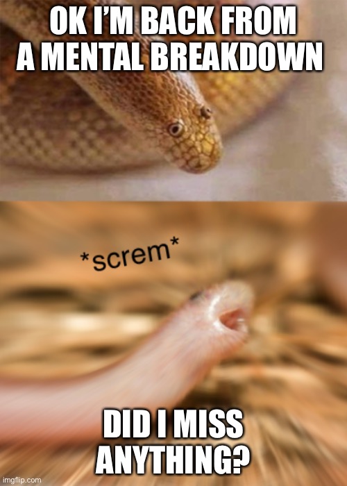 Edit; apparently I did miss something. Along with the ban update, it gives you an option to delete people’s comments AND why. | OK I’M BACK FROM A MENTAL BREAKDOWN; DID I MISS ANYTHING? | image tagged in snek screm | made w/ Imgflip meme maker