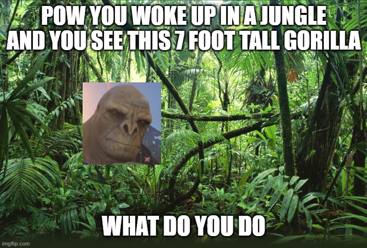 Jungle | POW YOU WOKE UP IN A JUNGLE AND YOU SEE THIS 7 FOOT TALL GORILLA; WHAT DO YOU DO | image tagged in jungle | made w/ Imgflip meme maker