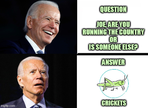 Q-Joe, are you running the US or is someone else in charge? A-Crickets | QUESTION
 
JOE, ARE YOU
RUNNING THE COUNTRY
OR
IS SOMEONE ELSE?
 
ANSWER; CRICKETS | image tagged in biden,joe biden,crickets,in charge | made w/ Imgflip meme maker