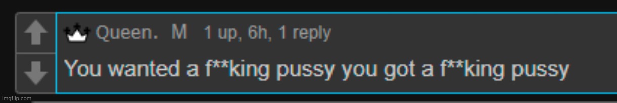 image tagged in you wanted a fucking pussy | made w/ Imgflip meme maker